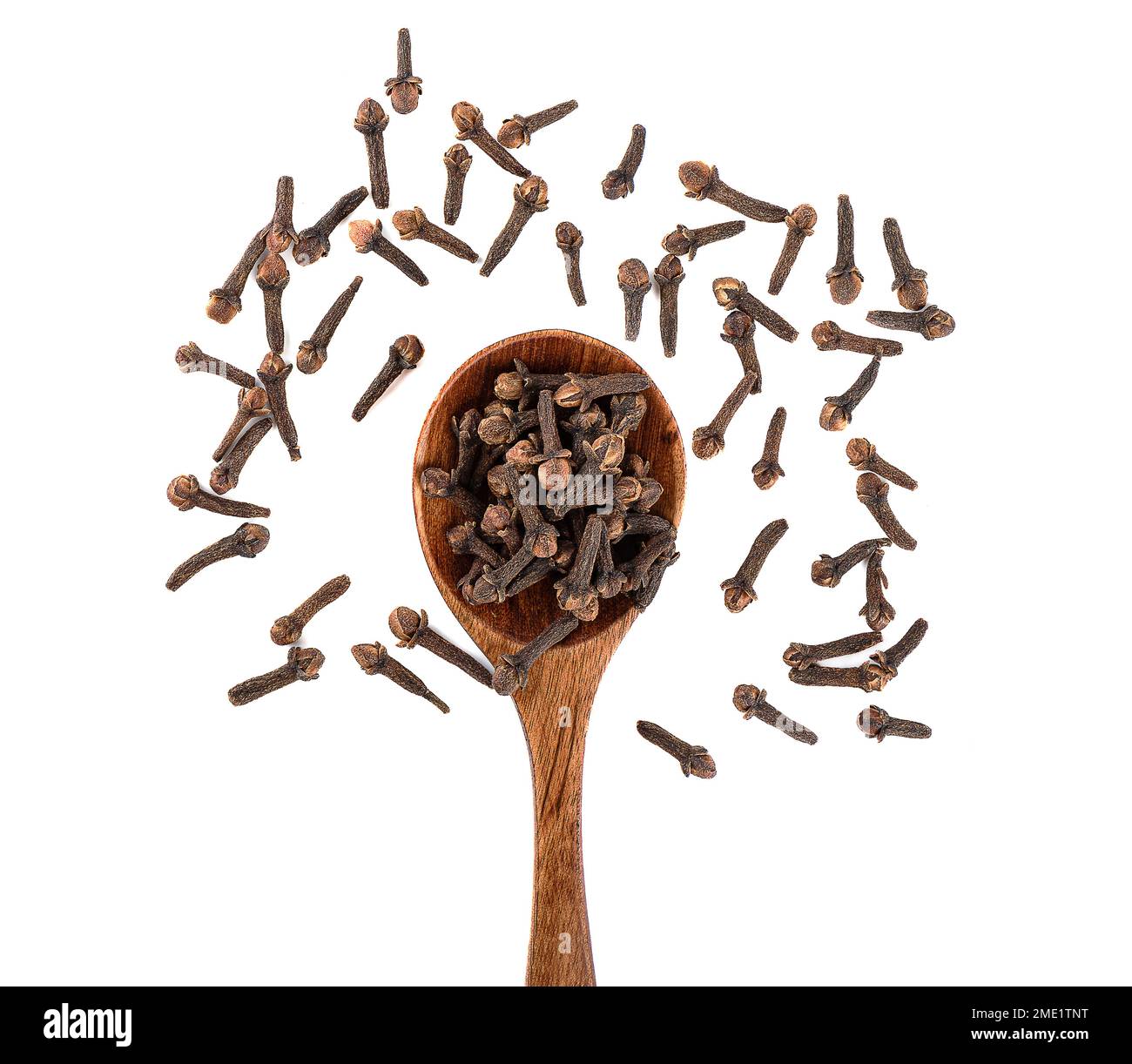 Top view of clove spice on wooden spoon and white background. A spice