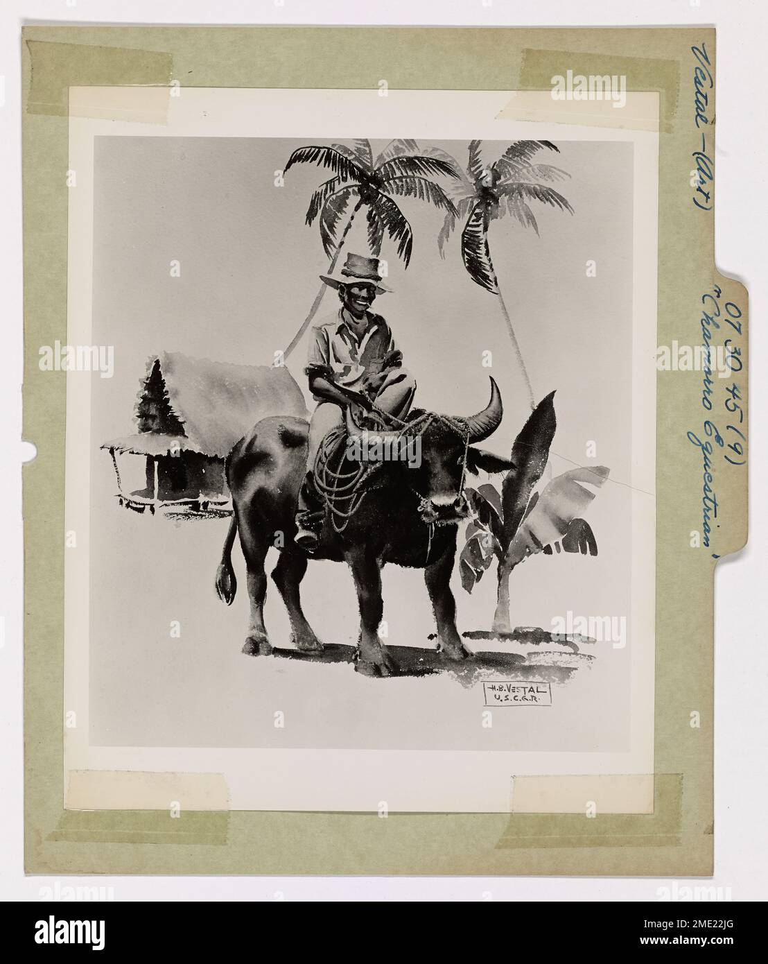 Chamorro Equestrian. This image depicts artwork of a native of Guam showing off his domesticated water buffalo. Artwork by combat artist Herman B. Vestal. Stock Photo