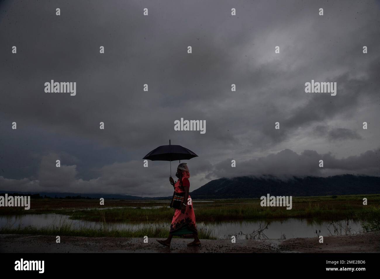 A woman walks with an umbrella during monsoon rain on the outskirts of  Gauhati, India, Friday, July 30, 2021. (AP Photo/Anupam Nath Stock Photo -  Alamy