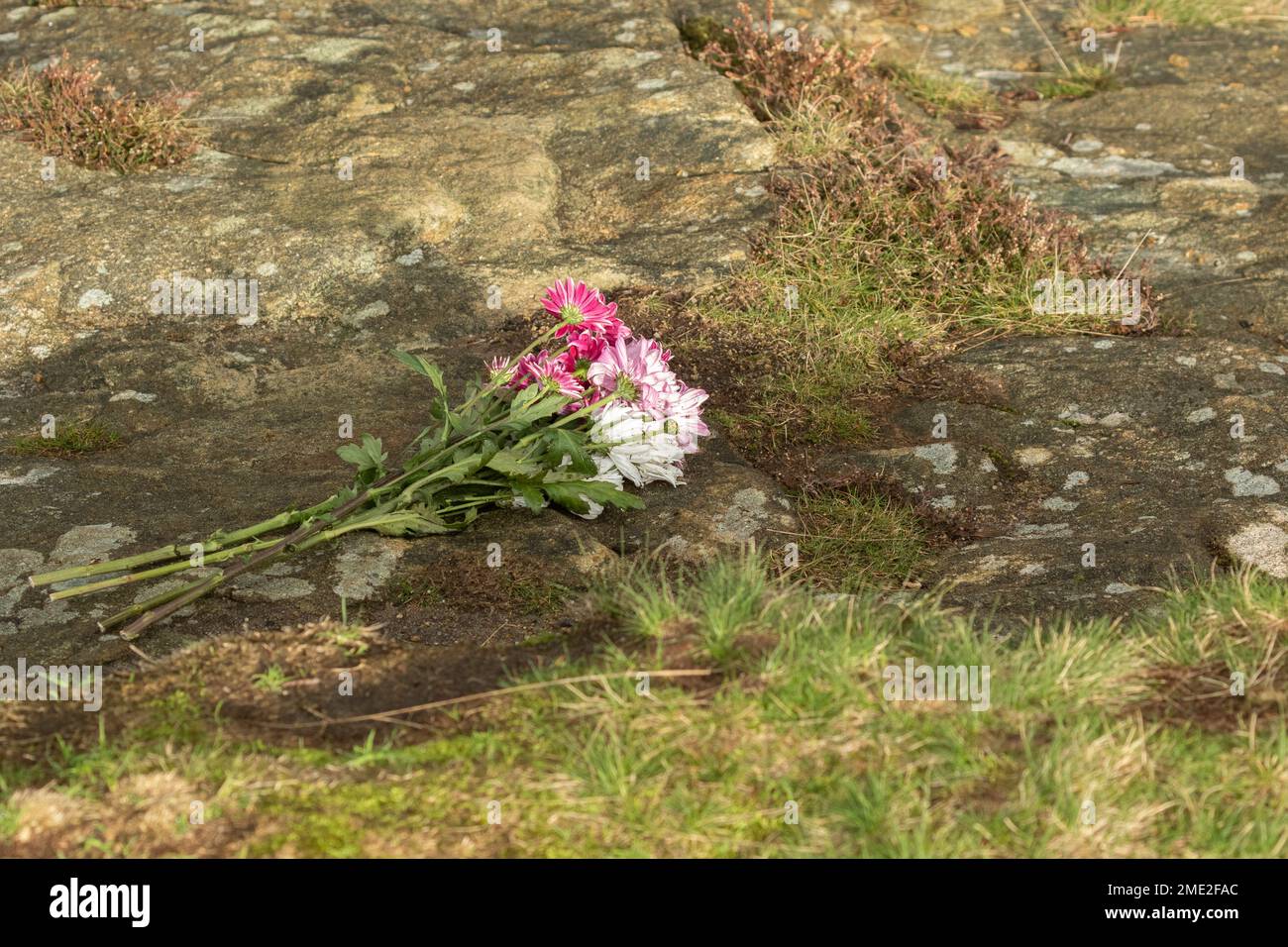 Flowers left at the scene of a death. These have been laid as a