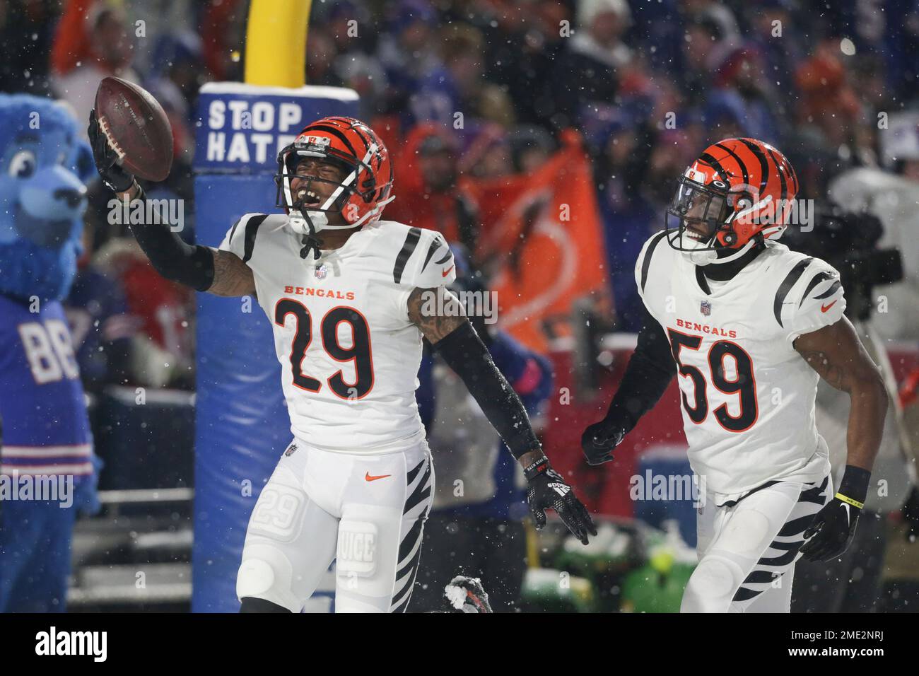 Cincinnati Bengals cornerback Cam Taylor-Britt (29). and linebacker Akeem  Davis-Gaither (59) celebrate after an interception during the second half  of an NFL division round football game against the Buffalo Bills, Sunday,  Jan.