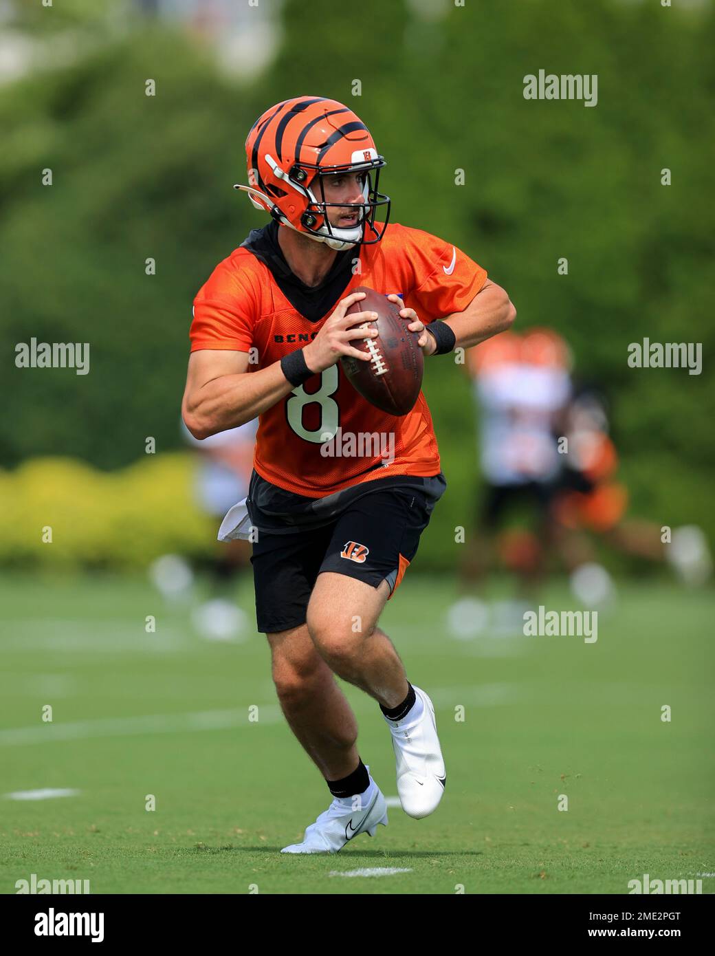 Cincinnati Bengals' Brandon Allen looks to pass in a drill during an NFL  football practice in Cincinnati, Wednesday, July 28, 2021. (AP Photo/Aaron  Doster Stock Photo - Alamy