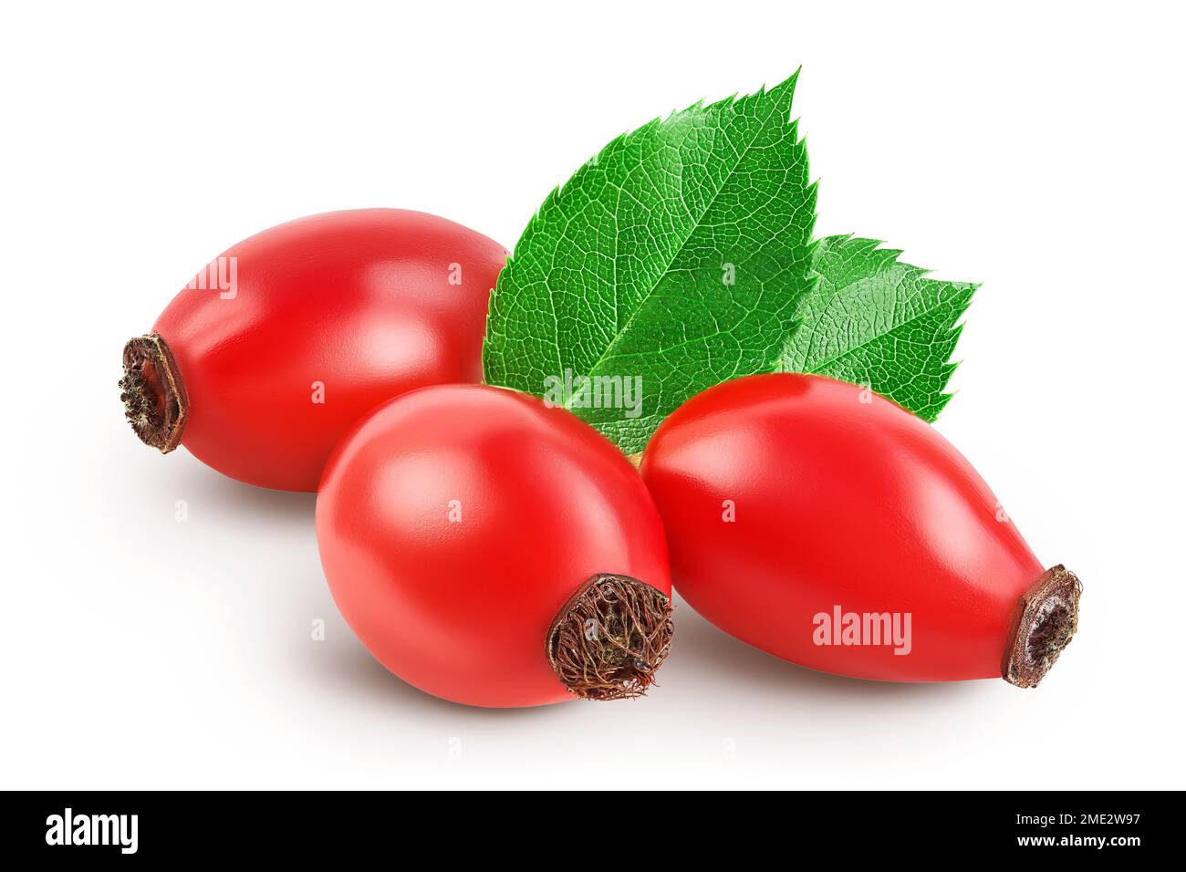 Rose hip isolated on a white background with full depth of field Stock ...