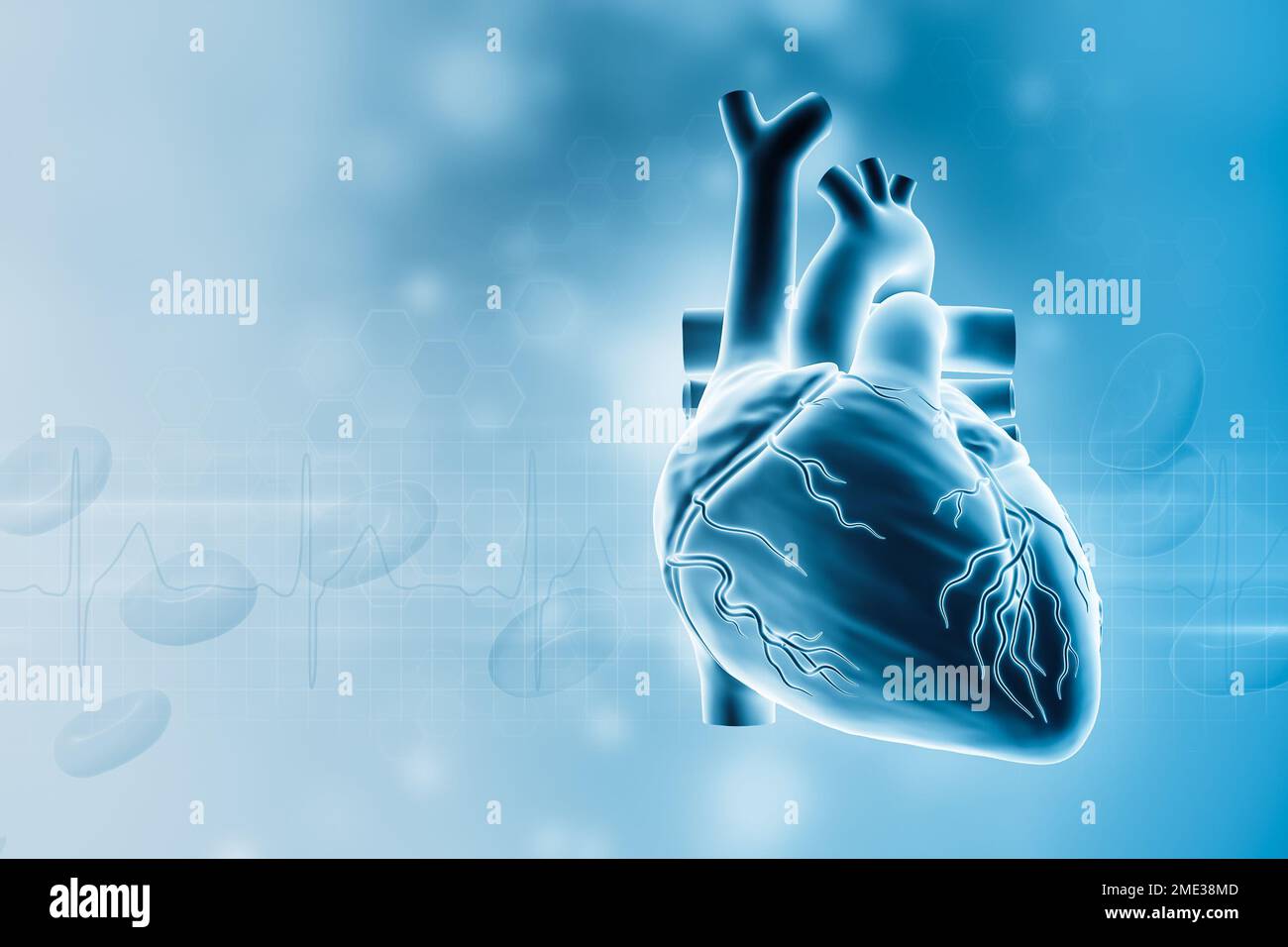 Human heart with blood vessels 3D rendering illustration with copy space. Cardiovascular system, anatomy, medical and healthcare, biology, medicine, s Stock Photo