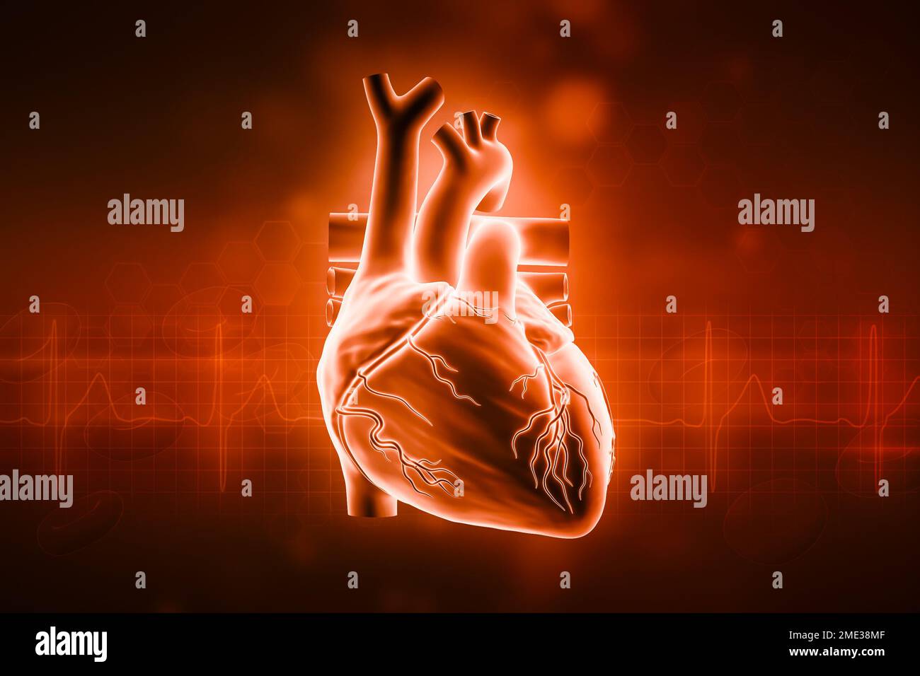 Human heart 3D rendering illustration with copy space and red background. Cardiovascular system, anatomy, medical and healthcare, biology, medicine, s Stock Photo