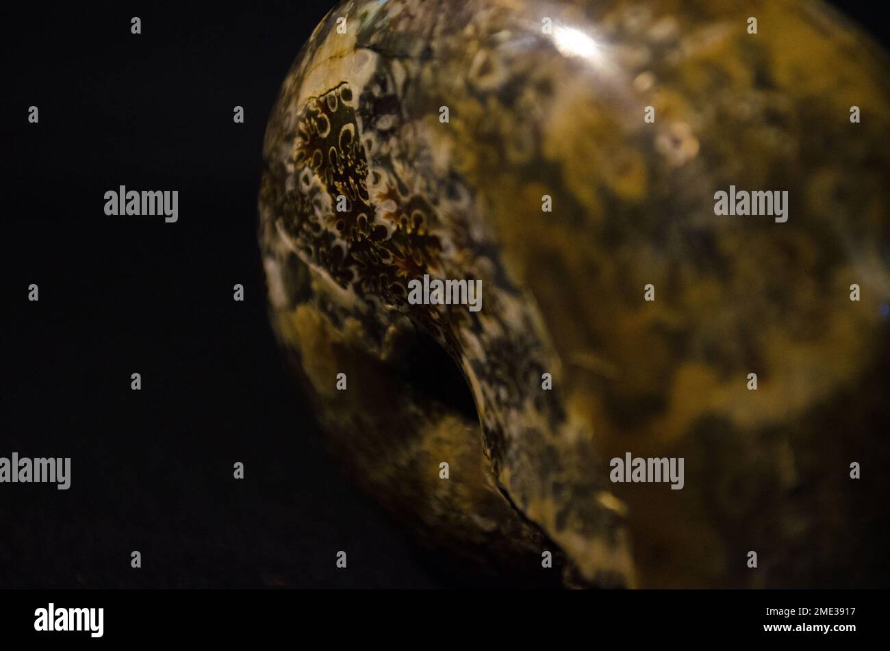 Close-up of an ammonite fossil on a black background Stock Photo