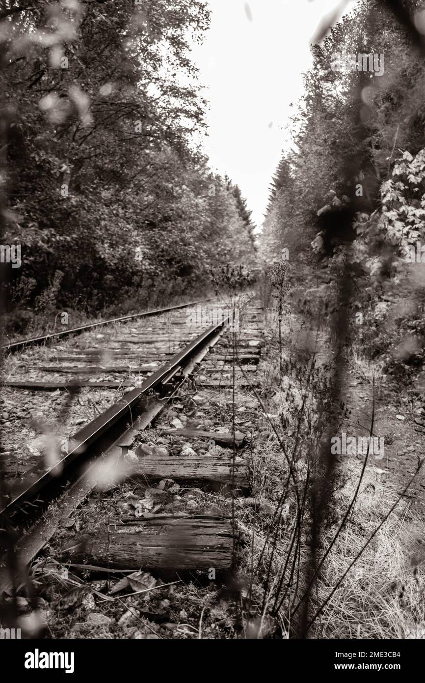 Abandoned train tracks Stock Photo Alamy