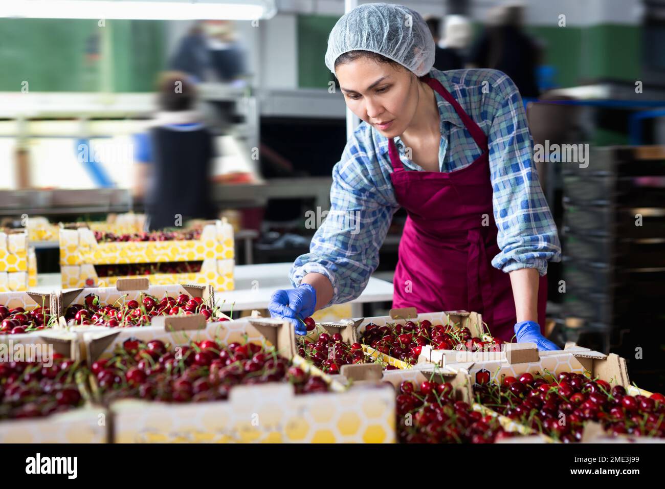 Woman in cherry warehouse Stock Photo