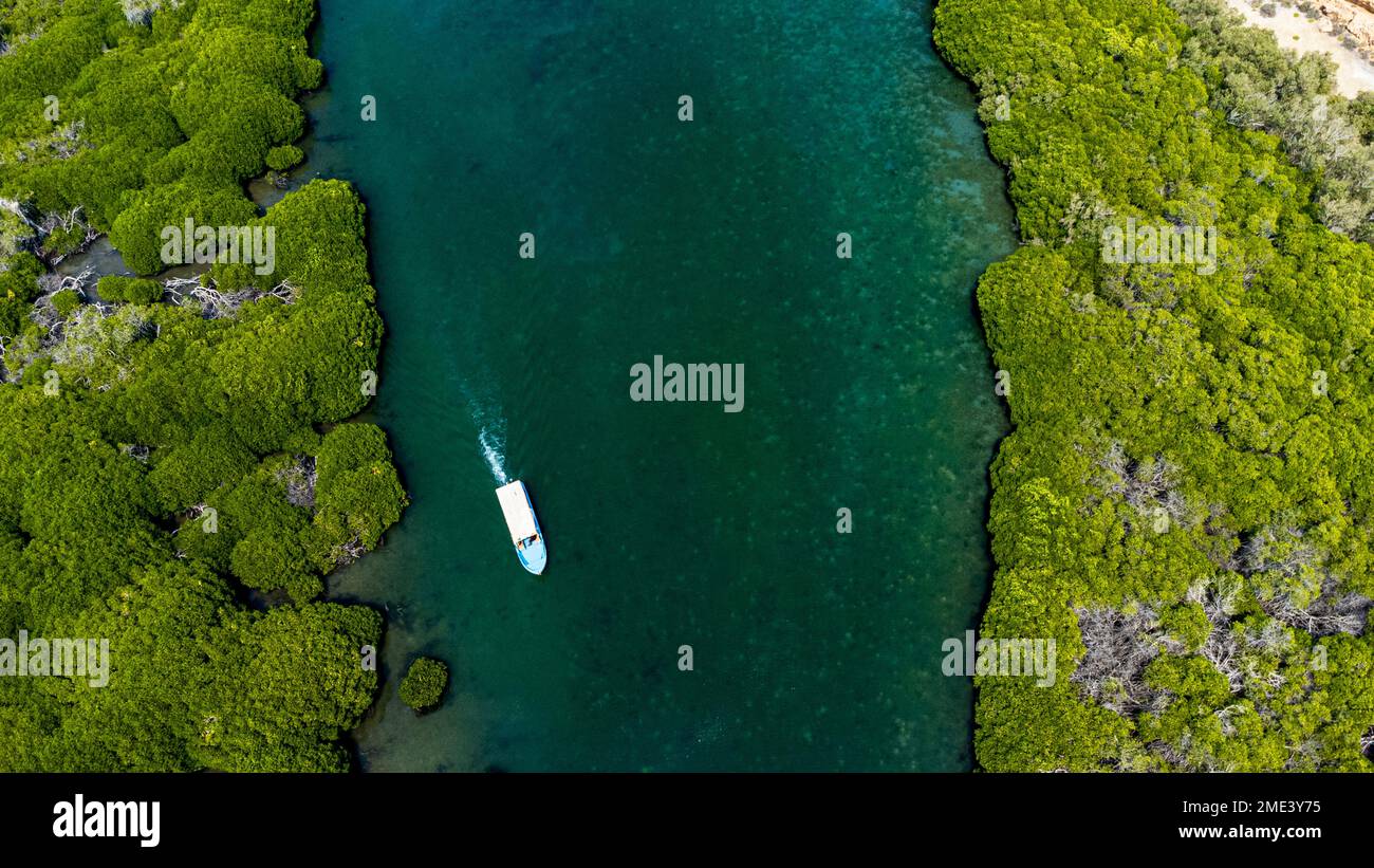 Saudi Arabia, Jazan Province, Aerial view of boat sailing through mangrove forest in Farasan Islands archipelago Stock Photo