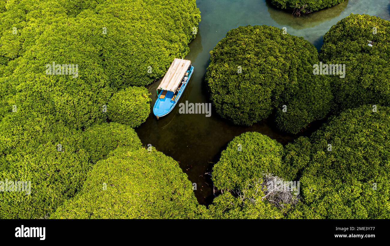 Saudi Arabia, Jazan Province, Aerial view of boat sailing through mangrove forest in Farasan Islands archipelago Stock Photo