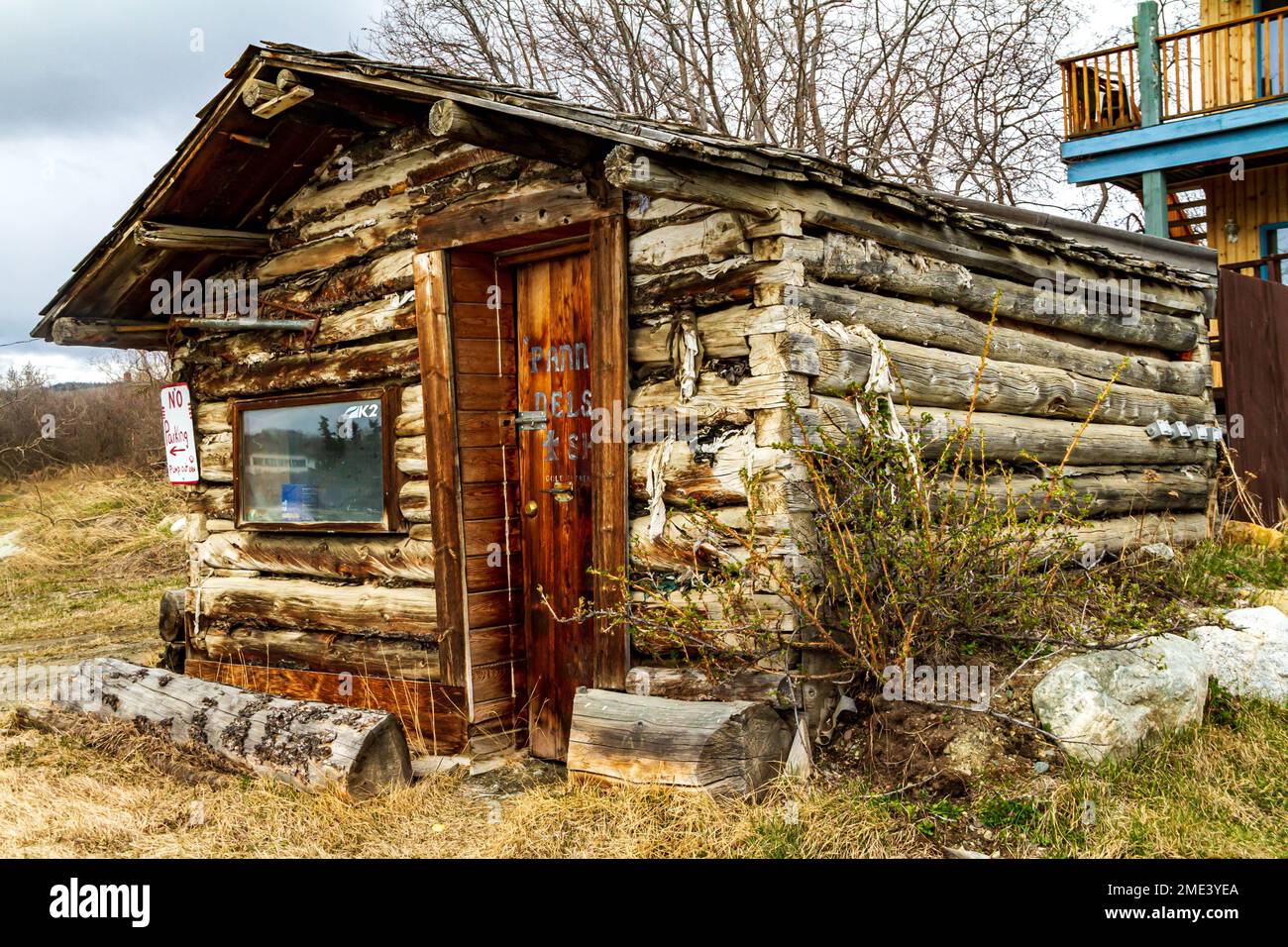 This very old log cabin is left over from the gold rush in northern B.C.  The climate is very dry so it is preserved in original condition. Stock Photo
