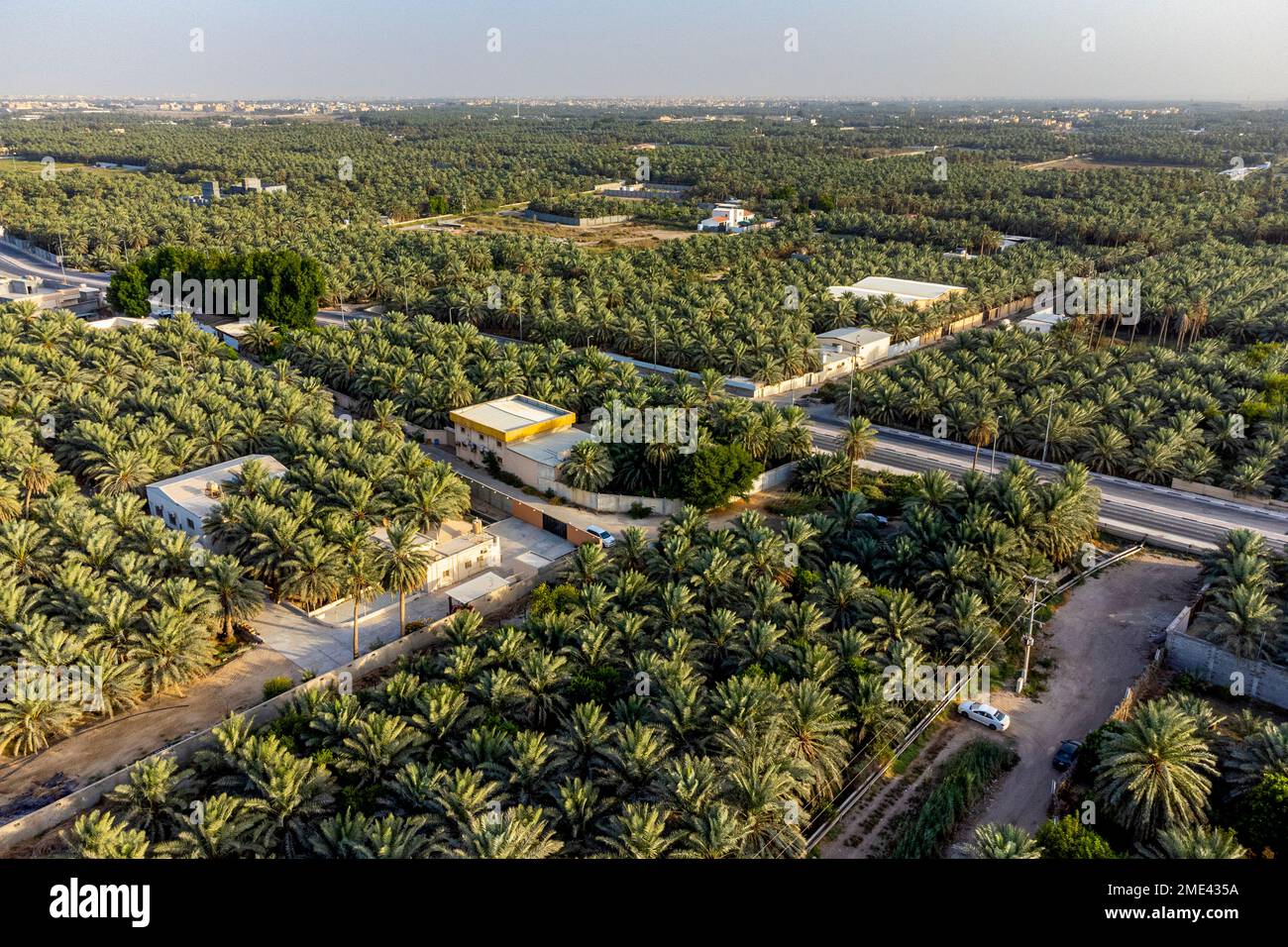 Saudi Arabia, Eastern Province, Al-Hofuf, Aerial view of Al-Ahsa Oasis Stock Photo