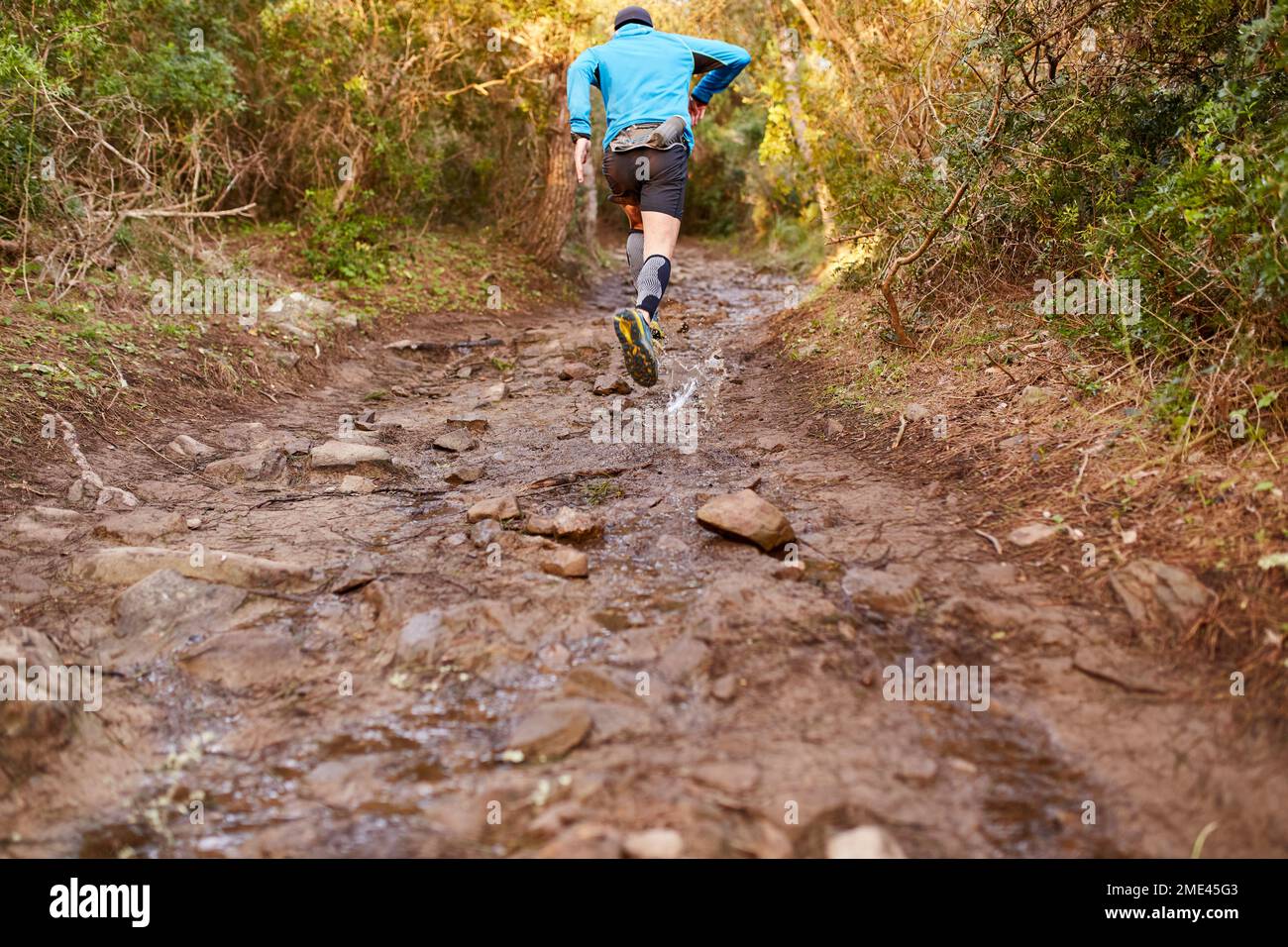 Man running on dirt road in forest Stock Photo Alamy