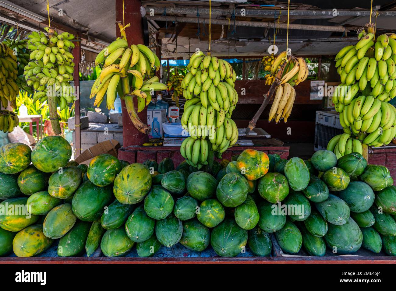 Oman, Dhofar, Salalah, Stall with fresh papayas and bananas Stock Photo
