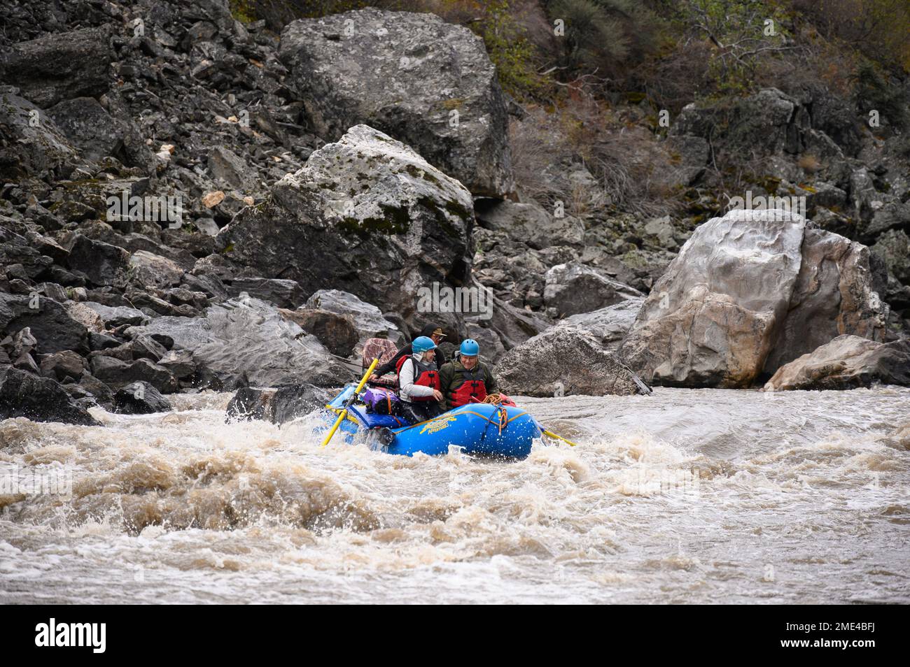 Whitewater rafting on the Middle Fork Salmon River in Idaho with Far and Away Adventures. Stock Photo