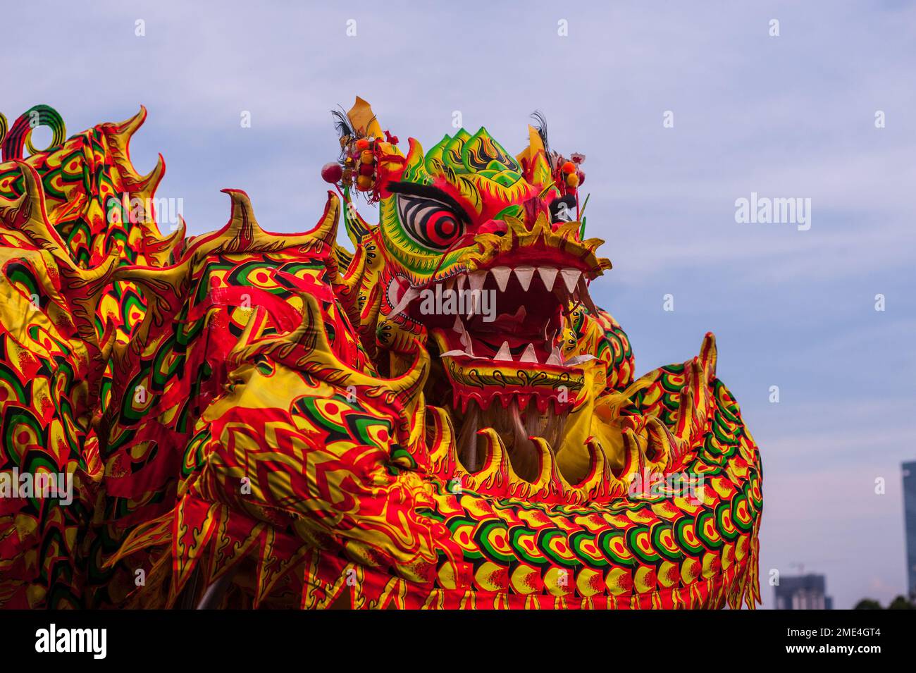 chinese new year in phnom penh
