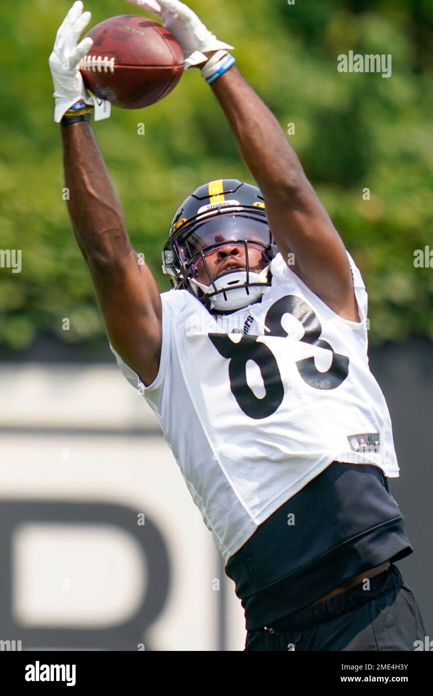 Pittsburgh Steelers wide receiver Anthony Johnson (83) celebrates scoring a  touchdown with wide receiver Tyler Simmons (82) during the Pro Football Ha  Stock Photo - Alamy