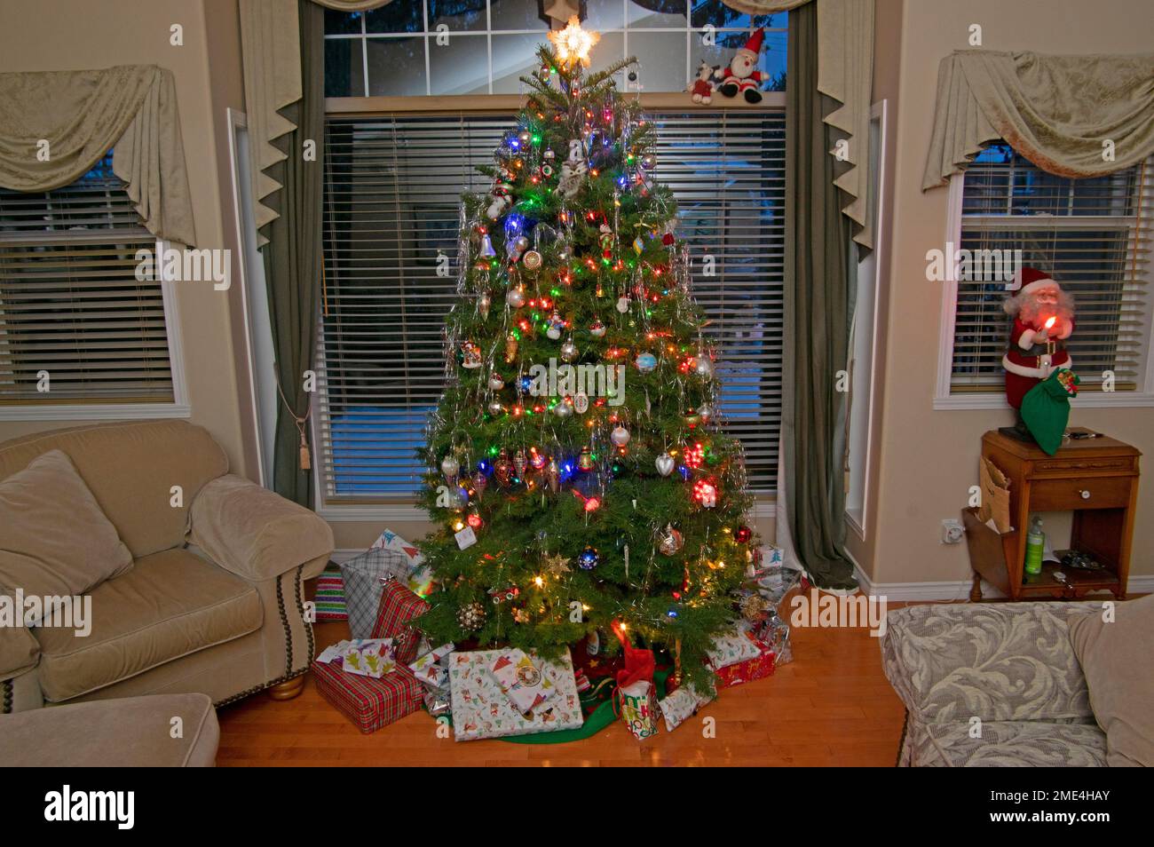 Live Christmas tree Stock Photo