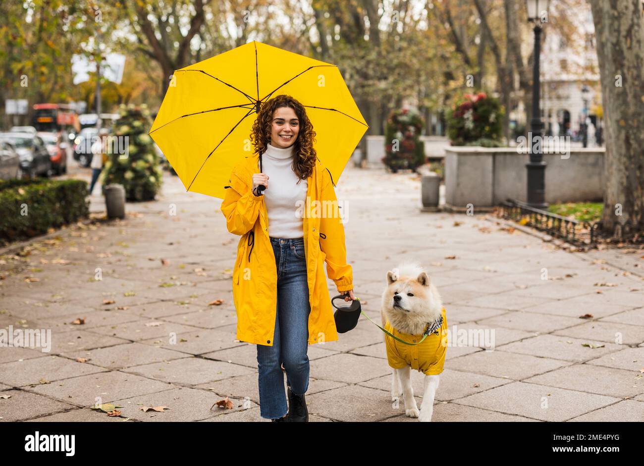 Happy woman holding yellow umbrella and walking with dog at footpath Stock Photo