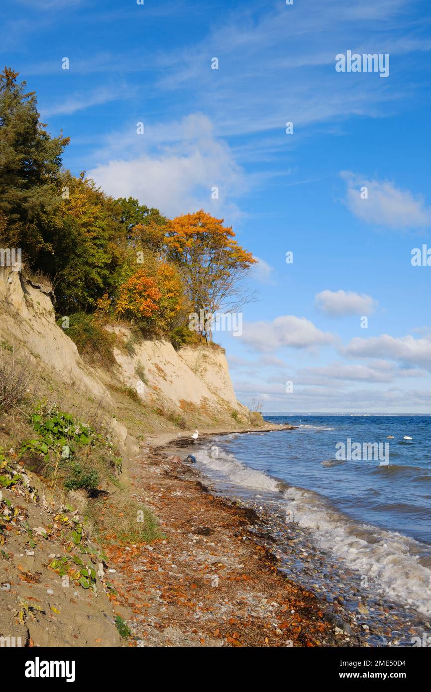 Germany, Schleswig-Holstein, Travemnde, Brodtener Ufer at autumn Stock Photo