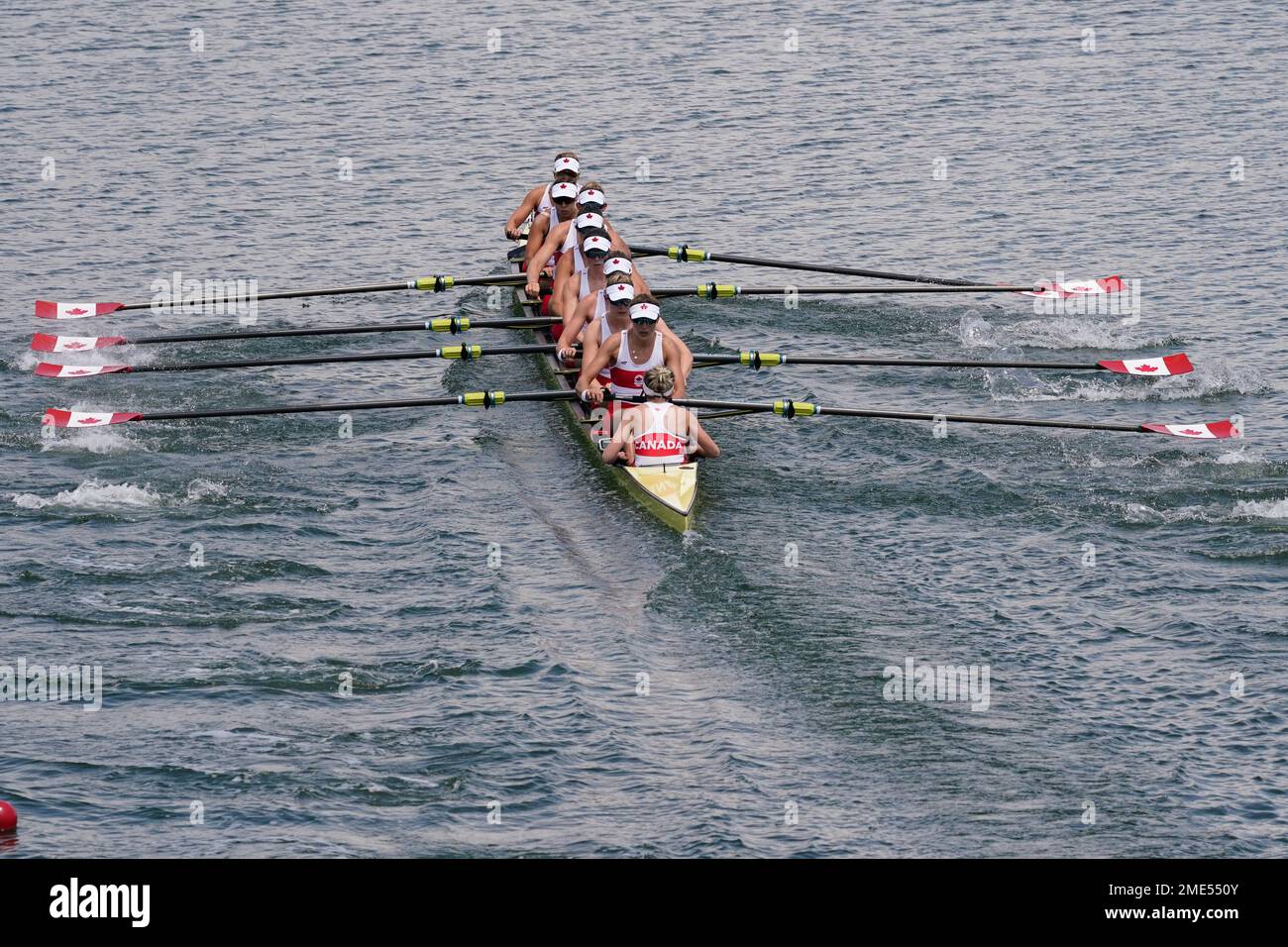 Lisa Roman, Kasia Gruchalla-Wesierski, Andrea Proske, Christine Roper ...