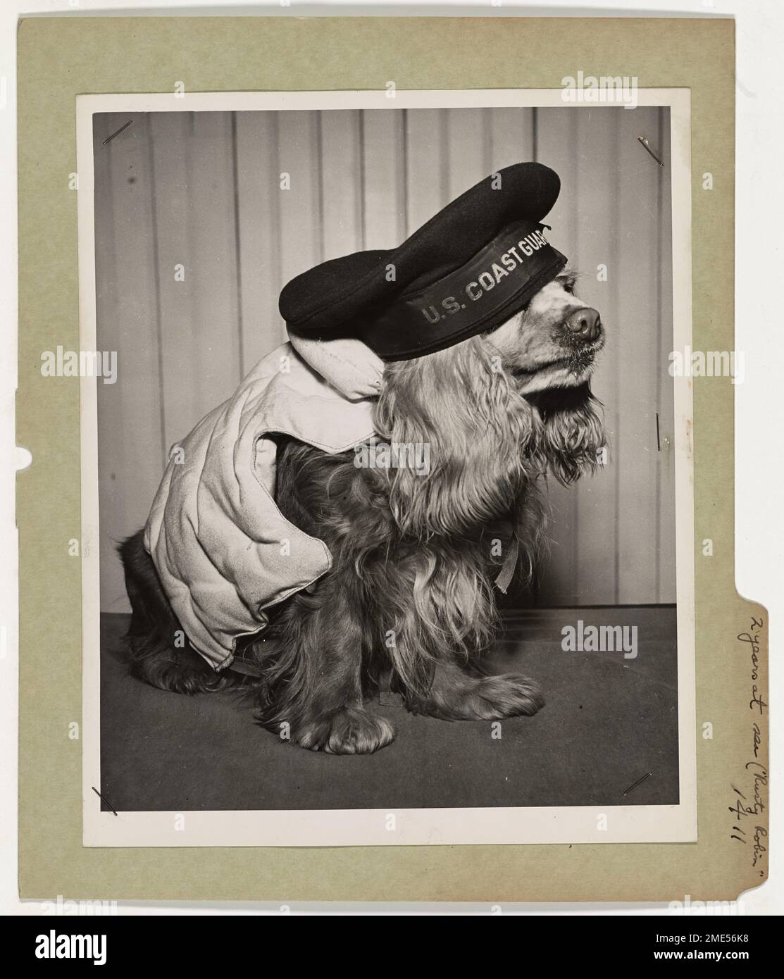Rusty Robin, a cocker spaniel serving as a canine seaman second class ...