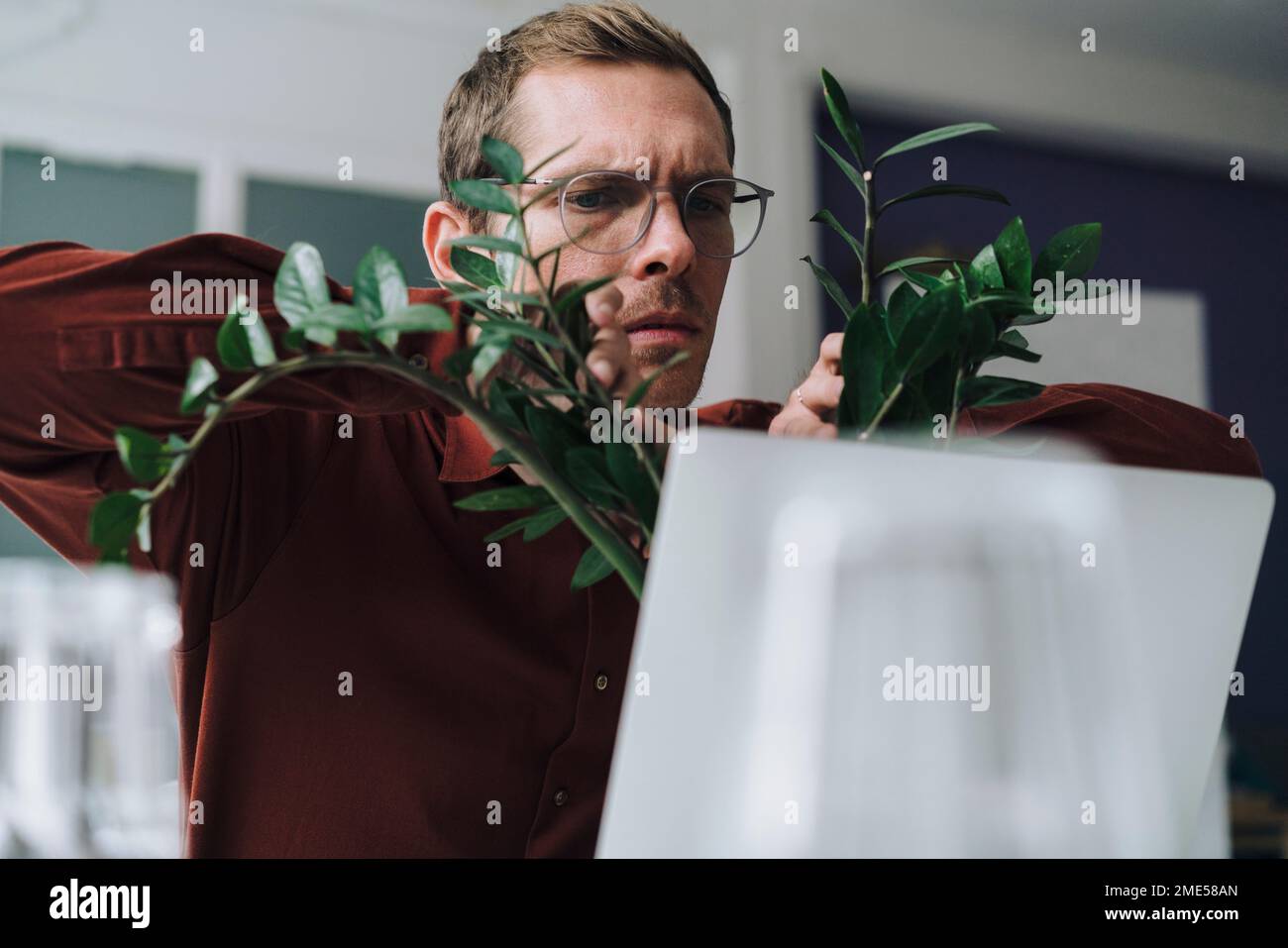 Worried businessman looking at plant in office Stock Photo