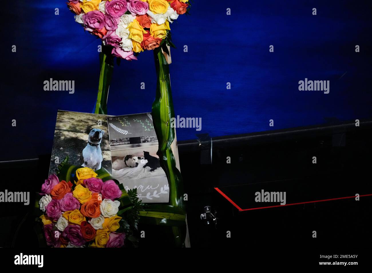 Pictures of Gonzalez family pets also lost in the disaster are