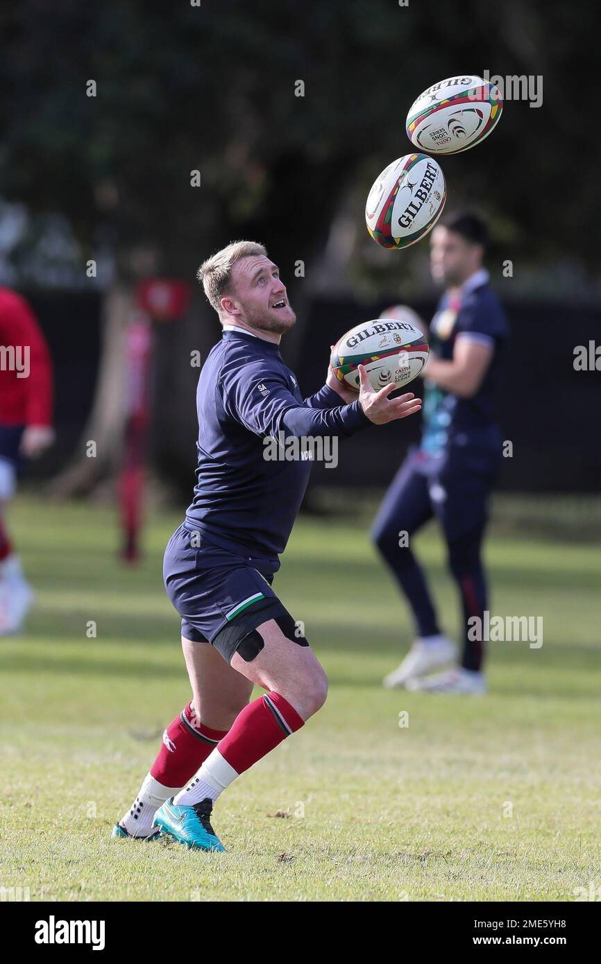 lions rugby balls