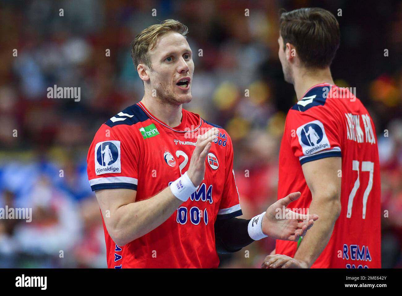 Magnus Gullerud during IHF MenÕs World Championship match between