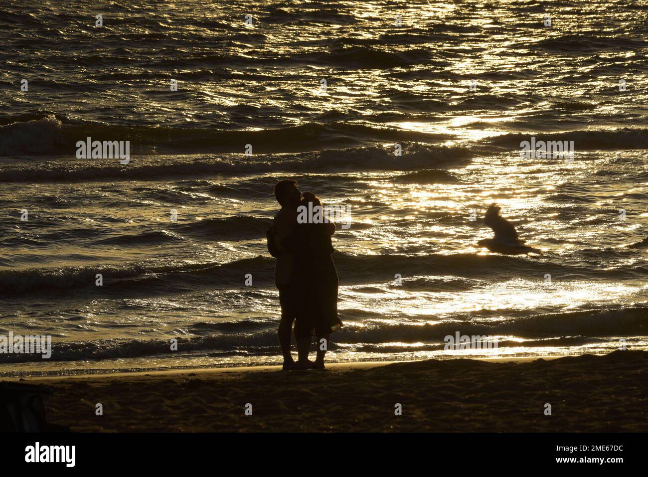 Melbourne, Victoria, Australia. 23rd Jan, 2023. A large number of people enjoy pleasant weather at St Kilda beach Melbourne. (Credit Image: © Rana Sajid Hussain/Pacific Press via ZUMA Press Wire) EDITORIAL USAGE ONLY! Not for Commercial USAGE! Stock Photo