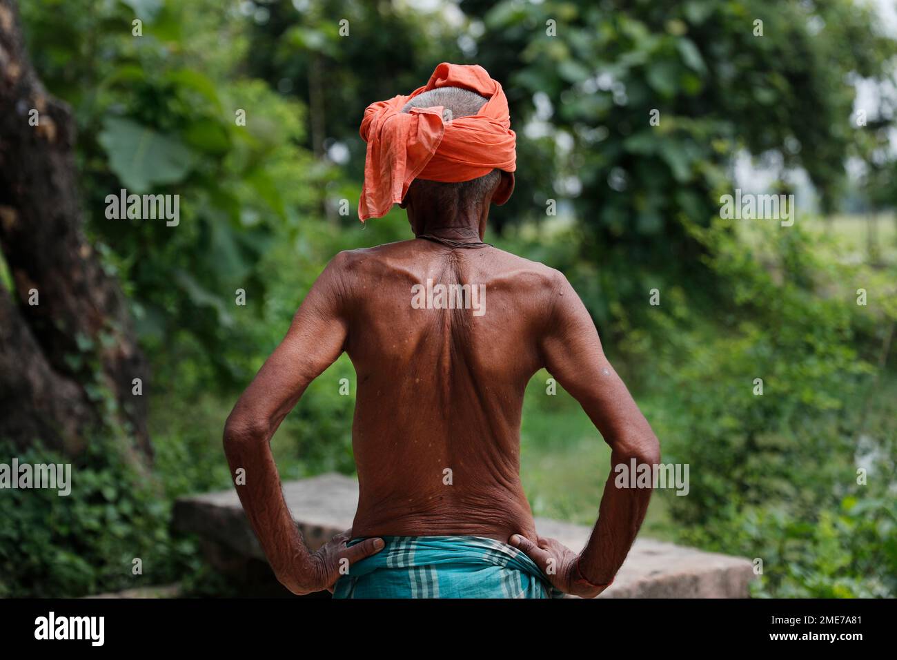 Indian farmer, Pannalal, 85 stands in his field before replanting paddy