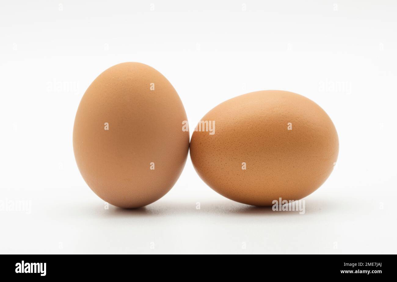 Huevos de gallina aislados sobre fondo blanco Stock Photo