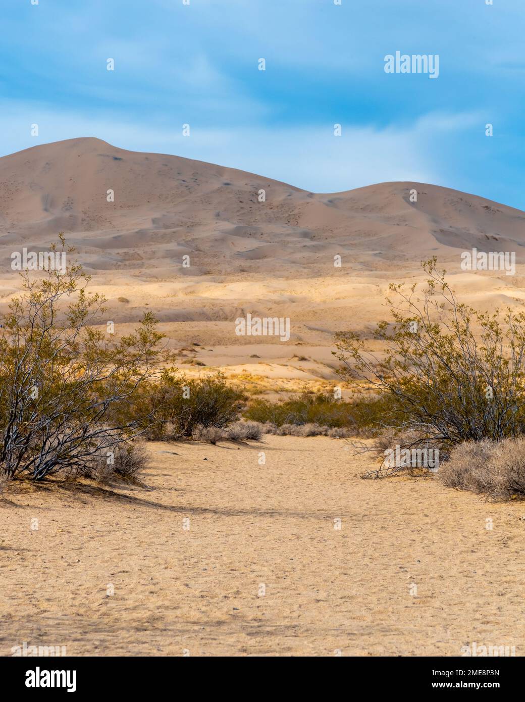 Kelso Sand Dunes in the Mojave Desert, California, United States of America. Stock Photo