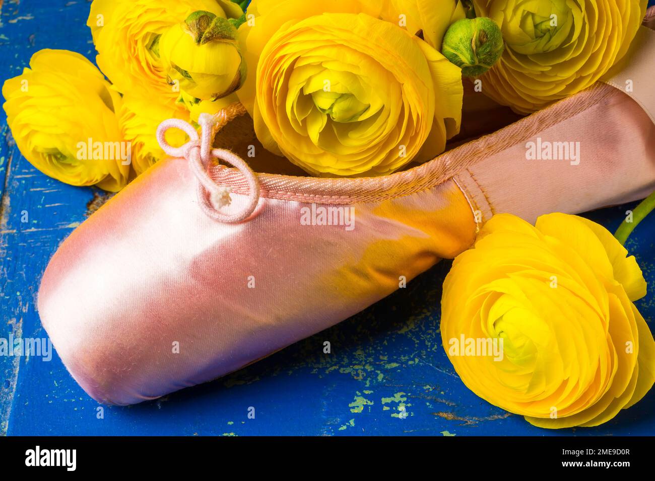 Ballet Shoe With Ranunculus Stock Photo Alamy