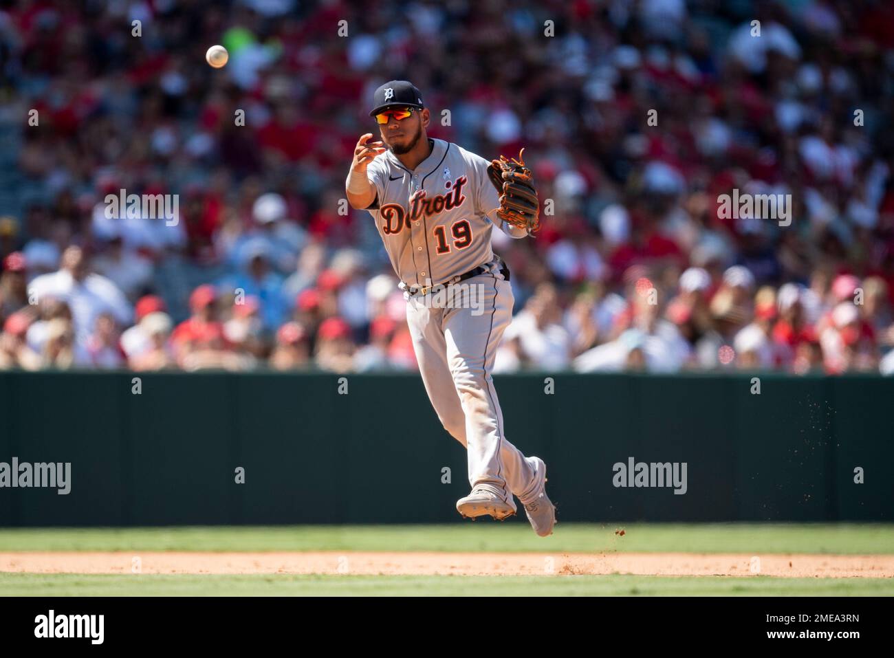 Detroit Tigers shortstop Isaac Paredes plays during the fourth inning of a  baseball game, Saturday, June 12, 2021, in Detroit. (AP Photo/Carlos Osorio  Stock Photo - Alamy