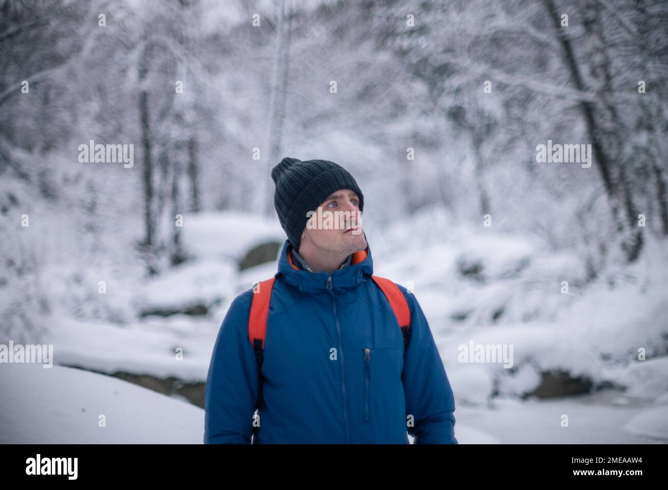 Man in winter jacket walking in snowy winter forest, snowy winter day Stock Photo