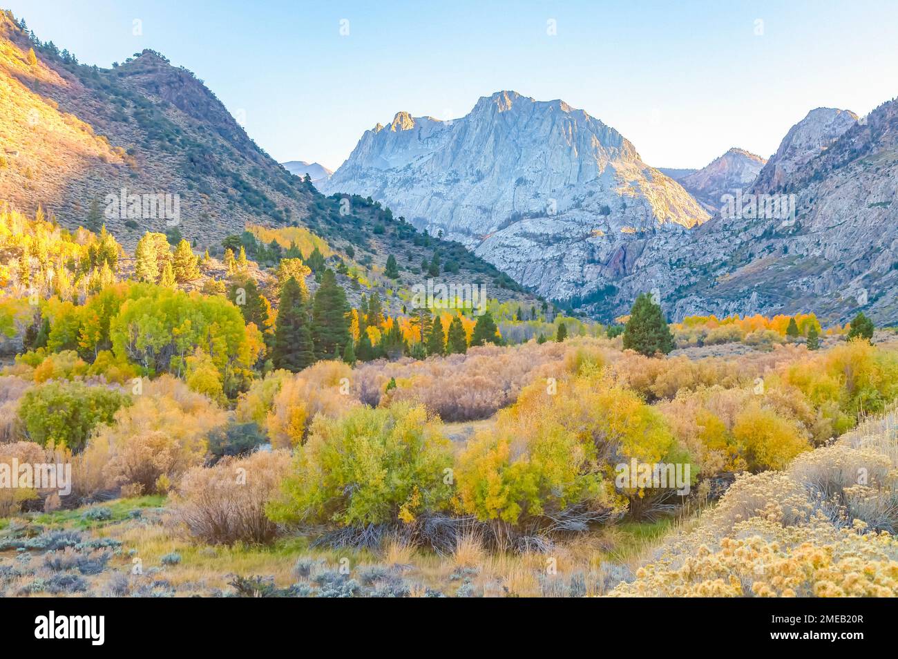 Carson Peak, June Lake Loop, Inyo National Forest, Eastern Sierra