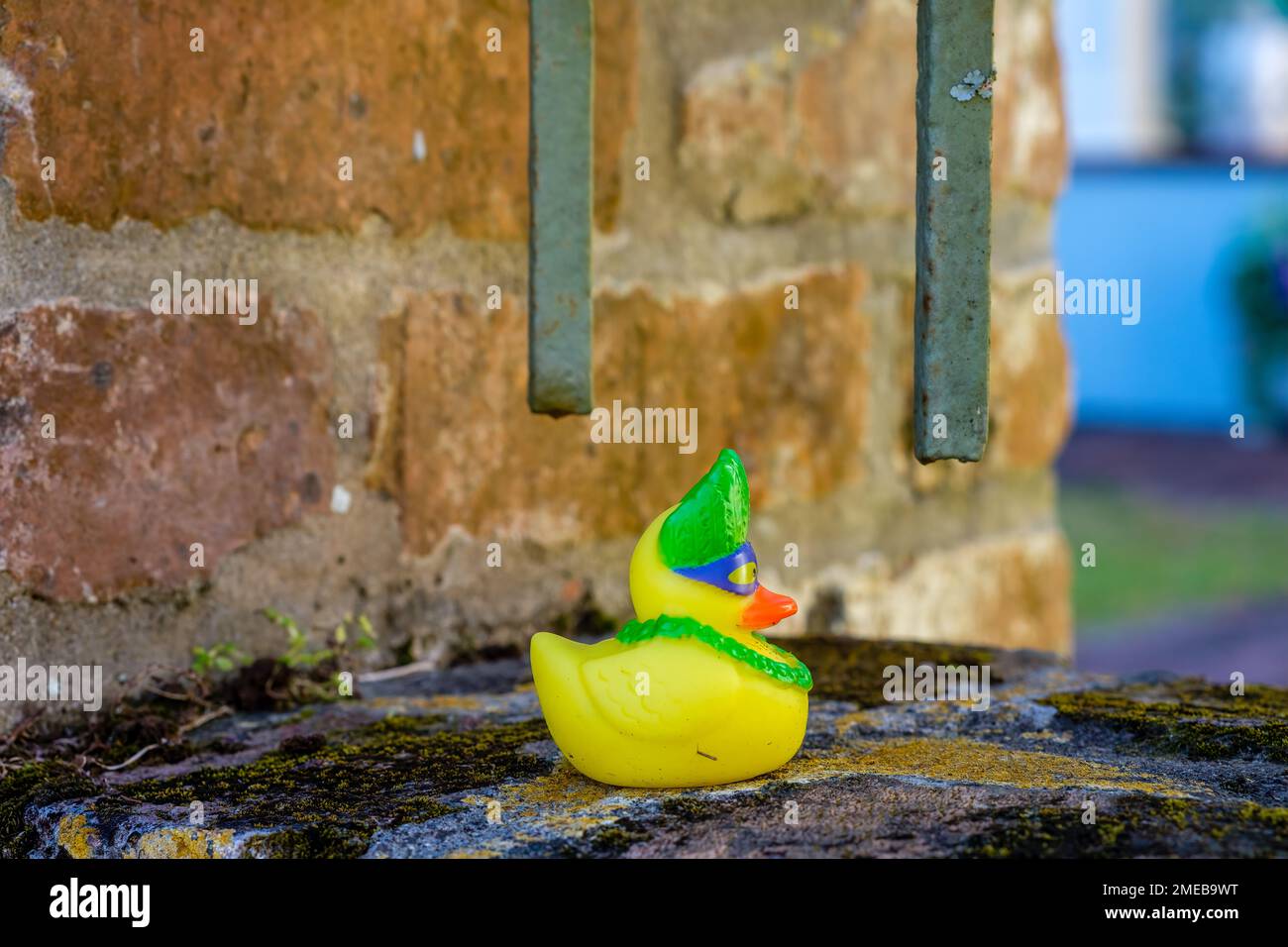 Colorful rubber duck sitting on a brick wall Stock Photo