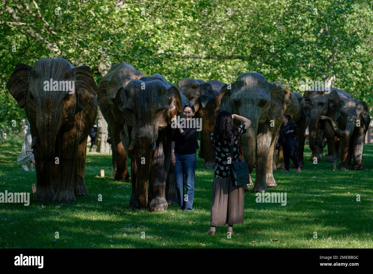 People pose for a photo with lifesize elephant sculptures on display