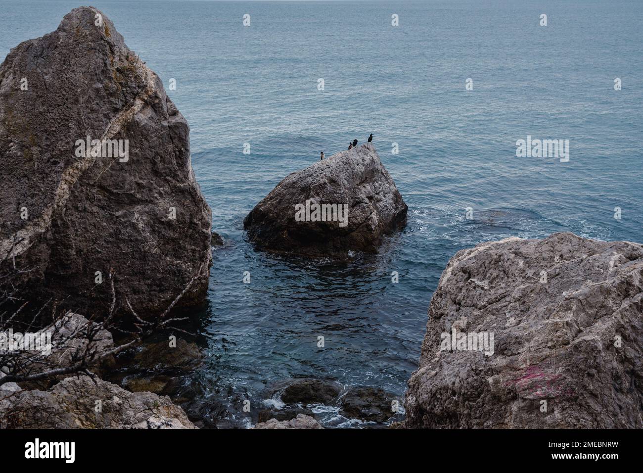 Few cormorants sitting on rock of in Cape Alchak. Sudak. Crimea Stock Photo