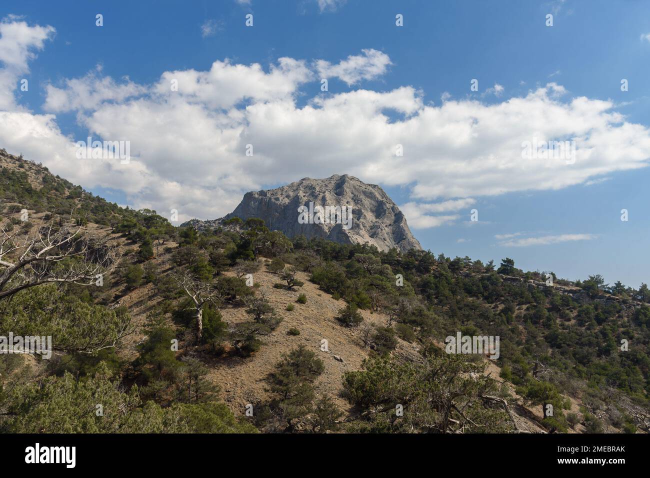 Falcon Sokol mountain in spring. Crimea Stock Photo