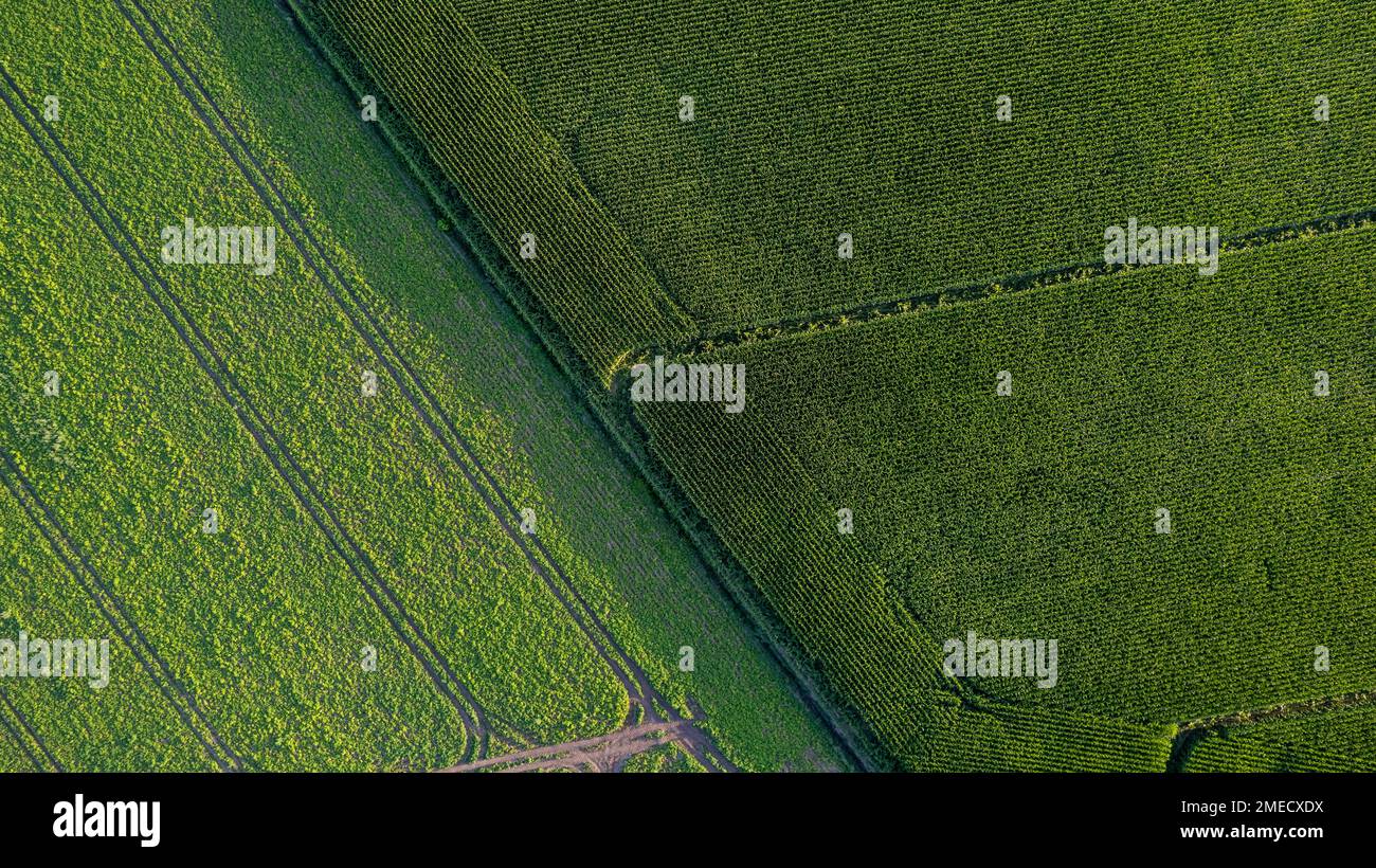 Colorful patterns in crop fields at farmland, aerial view, drone photo. Abstract geometric shapes of agricultural parcels of different crops green colors. Aerial view shoot from drone. . High quality photo Stock Photo