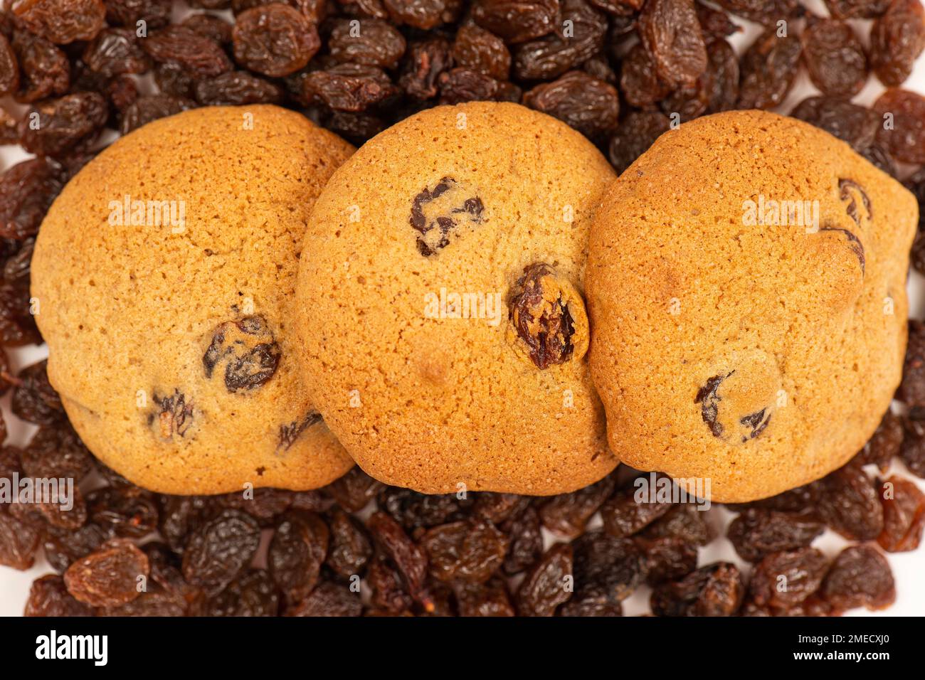 Fresh-baked golden hermit cookies filled with Australian organic raisins. Stock Photo
