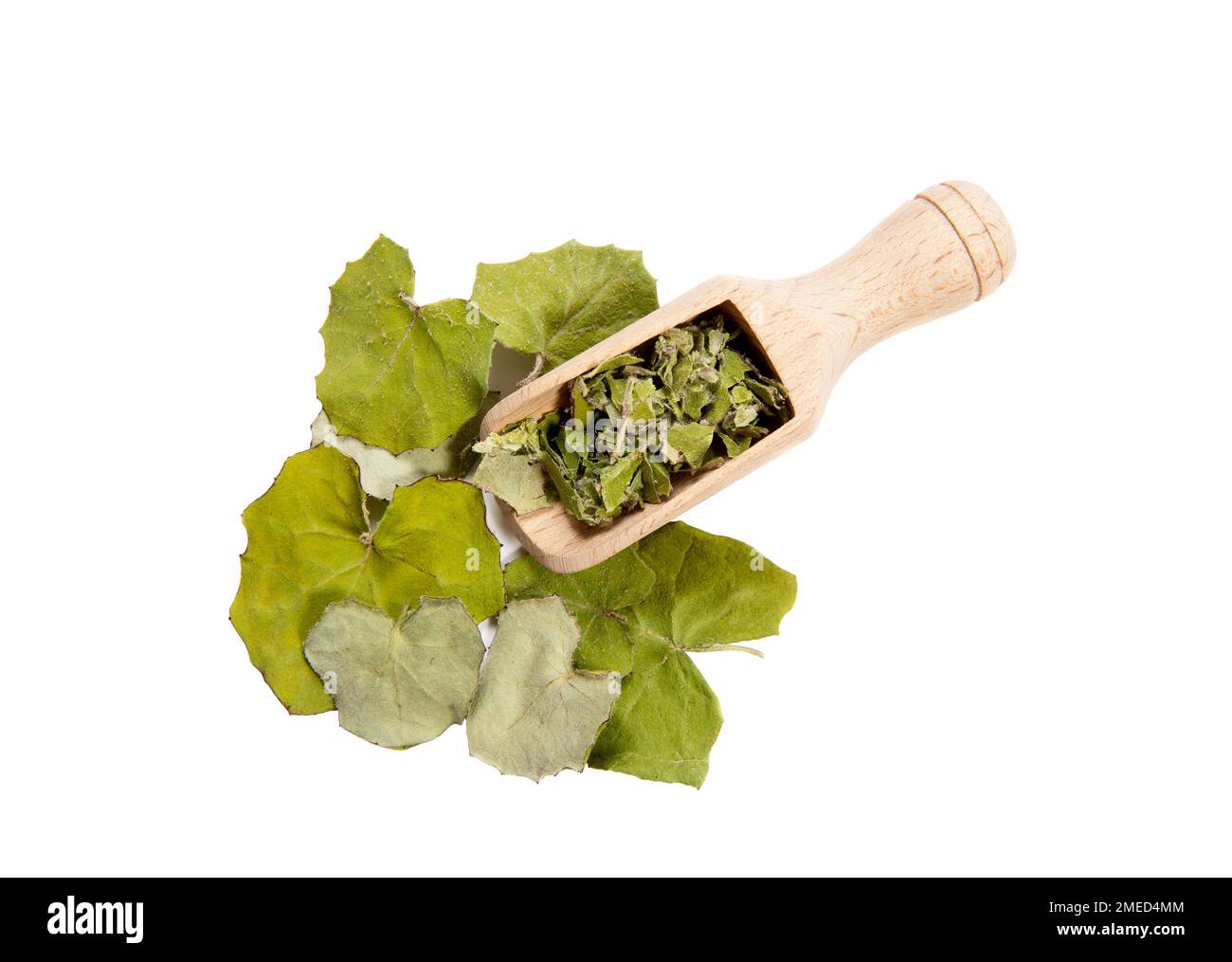 Dry Tussilago farfara( coughwort, tash plant, farfara) and fresh pieces of commonly known as coltsfoot believed to be natural cough remedy on wood. Stock Photo