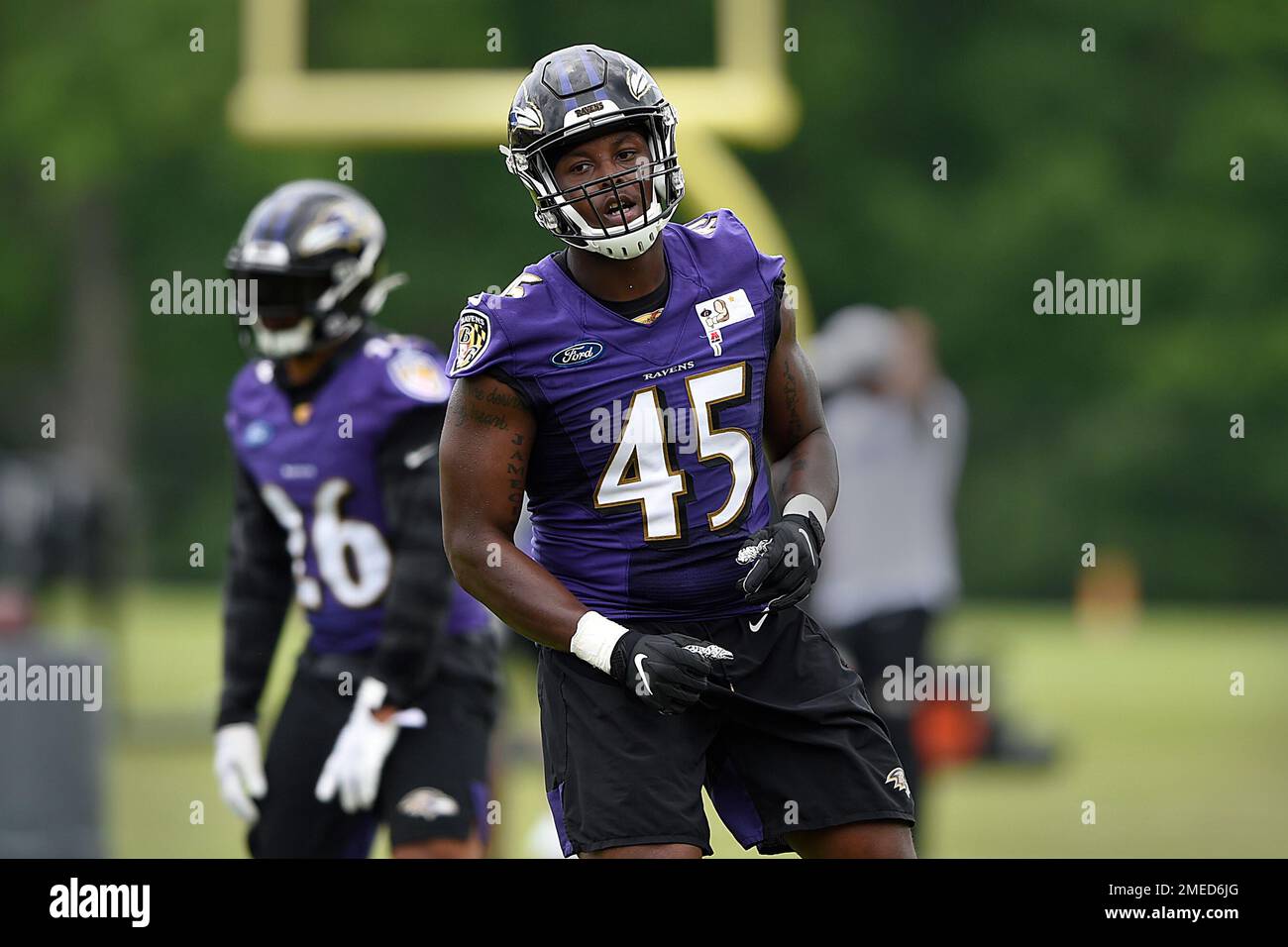 Baltimore Ravens linebacker Jaylon Ferguson works out during NFL football  practice, Wednesday, June 2, 2021, in Owings Mills, Md. (AP Photo/Gail  Burton Stock Photo - Alamy