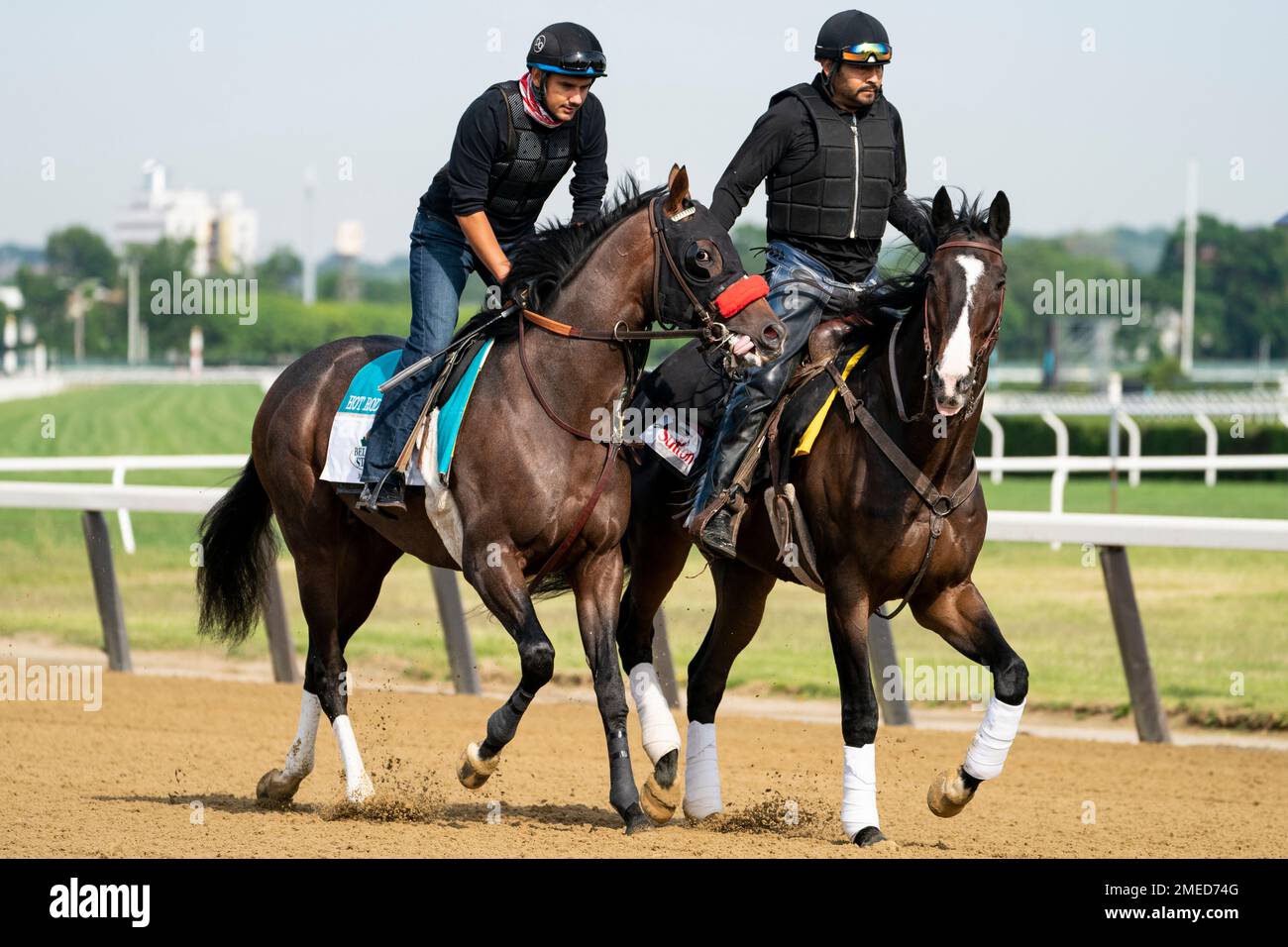 Belmont stakes entrant Hot Rod Charlie, left, and his companion horse