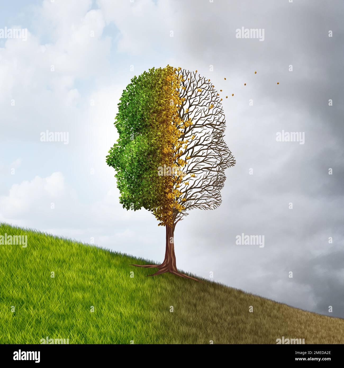 Cognitive decline and memory loss or  Dementia as an Alzheimer's disease or cognitive impairment due to brain deterioration and Neurodegeneration Stock Photo