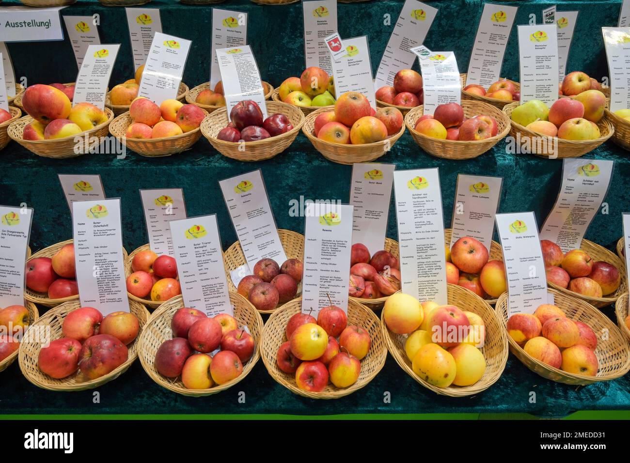 Vielfalt, Äpfel, Messe, Internationale Grüne Woche, Messegelände, Charlottenburg, Berlin, Deutschland Stock Photo