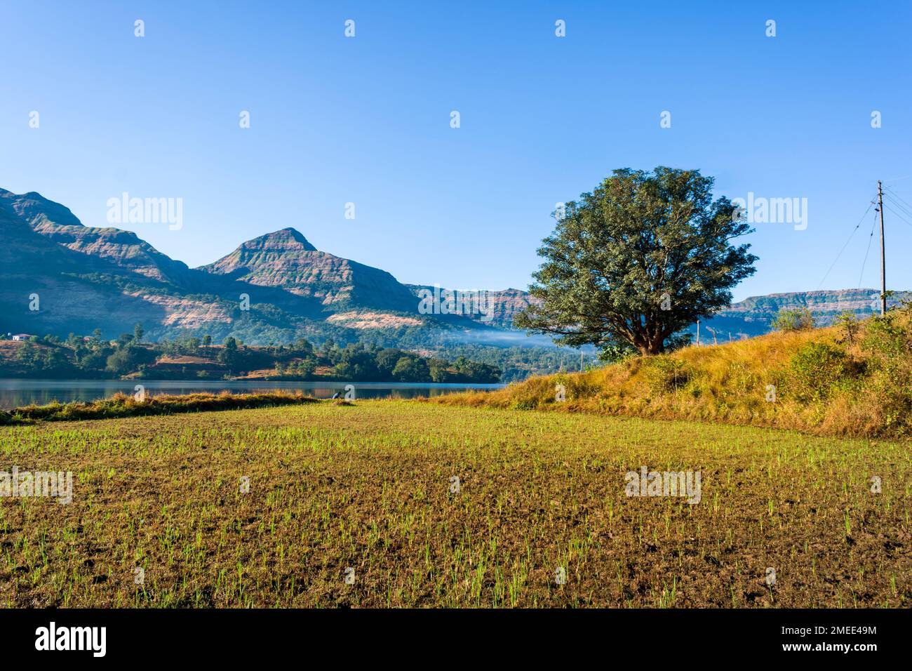 Beautiful landscape of a lake, hills, and valleys at Arthur Lake in Bhandardara in Maharashtra, India Stock Photo